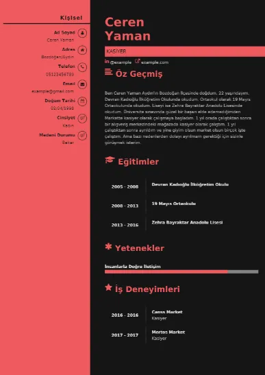 Kasiyer Örnek cv indir